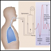 La spirometria per la sorveglianza sanitaria dei lavoratori e dei fumatori